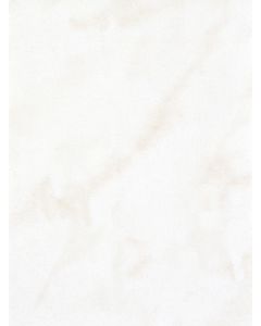 Mosa Ledo 15x20cm Beige Glans (2900LL015020)