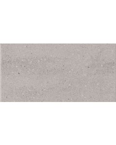 Mosa Scenes Plus 30x60cm Grijs Mat (6120V0300601)