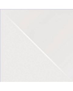 Mosa 100x100 16902 wit-gl.