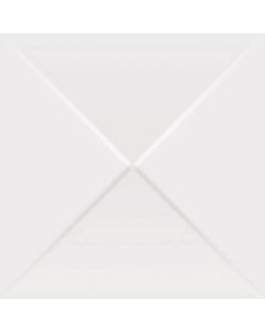 Mosa 100x100 16903 wit-gl.