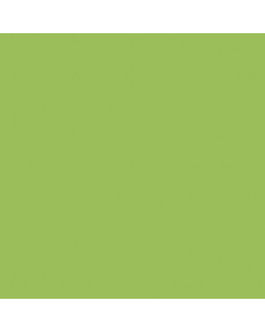 Mosa 150x150 17900 macaw green-gl