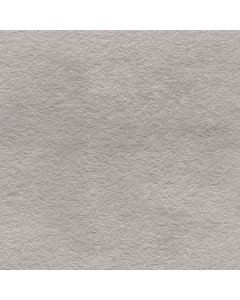 Mosa 300x300 206rl m.Grau