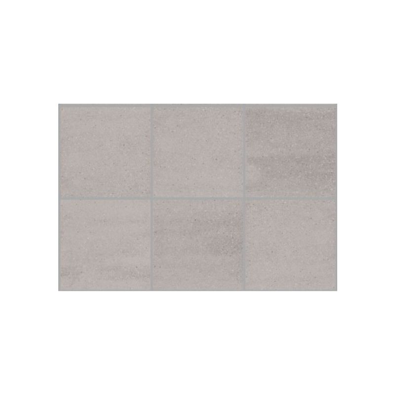Mosa Scenes Plus 60x60cm Grijs Mat (6120V0600601)